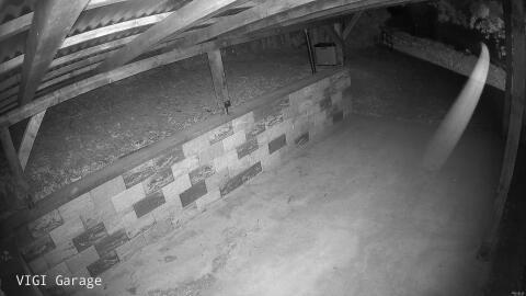 1074-20260528215237-49.jpg