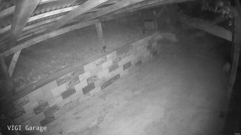 994-20260528025658-00.jpg