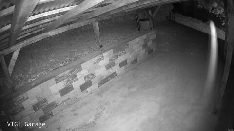 1135-20260529004156-04.jpg