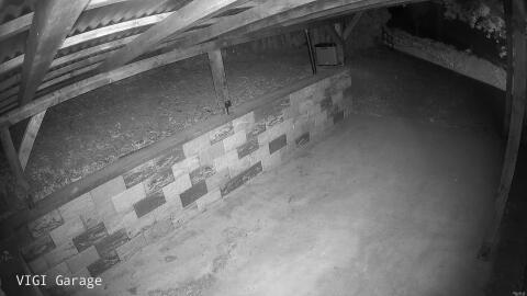 1138-20260529005136-04.jpg