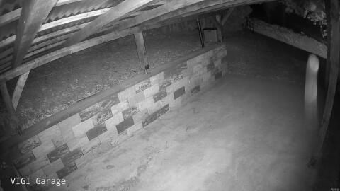 1198-20260529035725-56.jpg