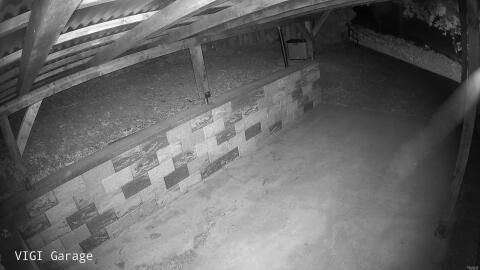 1199-20260529040022-01.jpg