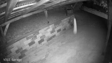 1288-20260529224728-24.jpg
