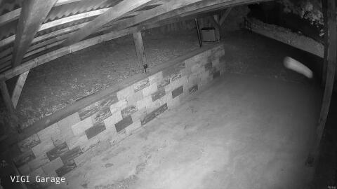 1294-20260529231425-29.jpg