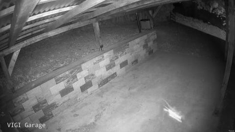 1298-20260529232418-45.jpg