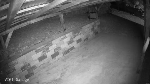1337-20260530012338-11.jpg