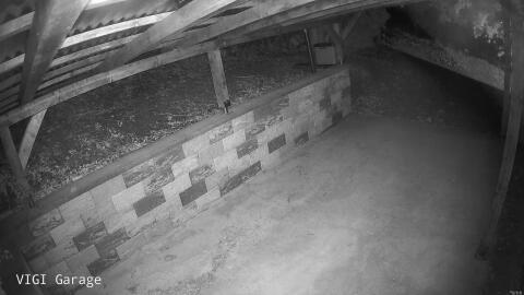 1641-20260604004846-21.jpg