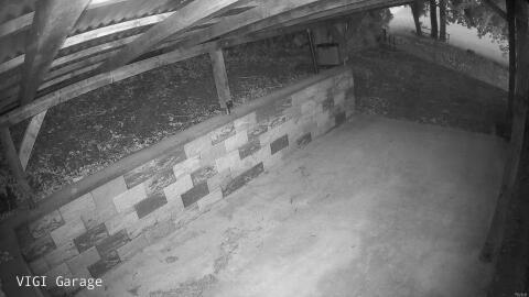 1659-20260604044847-13.jpg