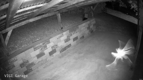 2808-20260617230919-06.jpg