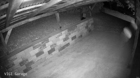 2895-20260618225341-18.jpg