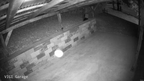 2931-20260619041858-34.jpg