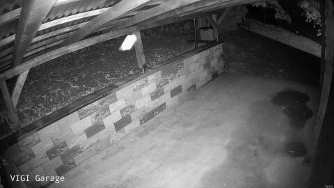 03-20260622003612-20.jpg