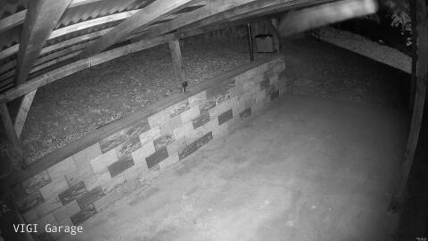 379-20260628015551-09.jpg