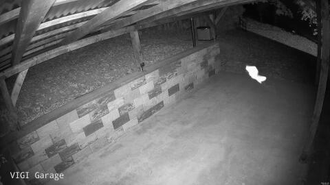616-20260630035215-17.jpg