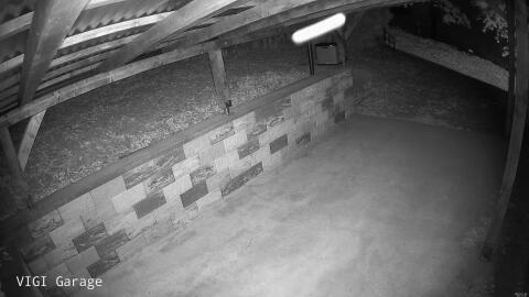 770-20260709042131-21.jpg