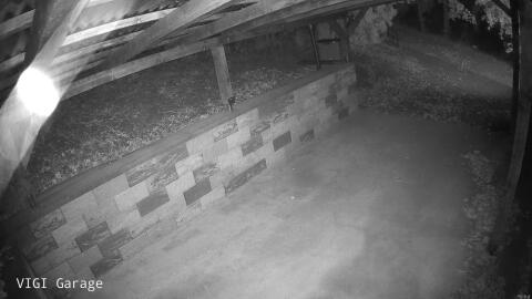 1155-20260910014806-15.jpg