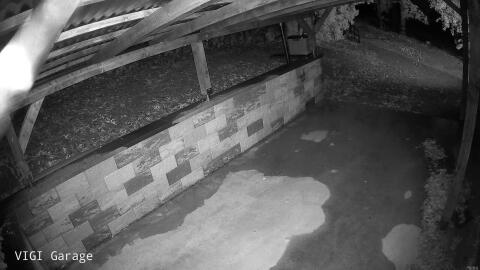 03-20260911022010-07.jpg