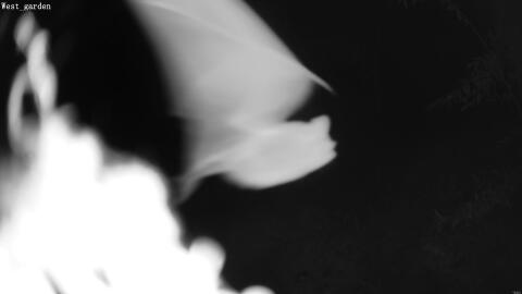 1889-20260601000334-21.jpg