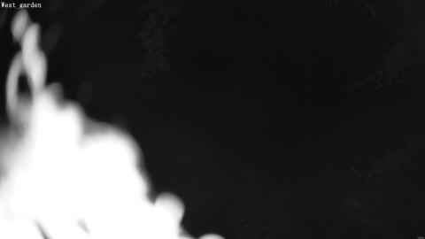 1894-20260601011744-03.jpg