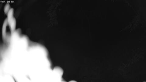 1897-20260601014412-15.jpg