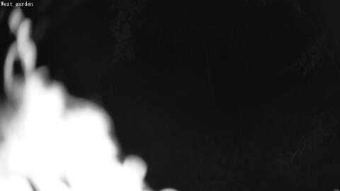 1899-20260601022015-09.jpg