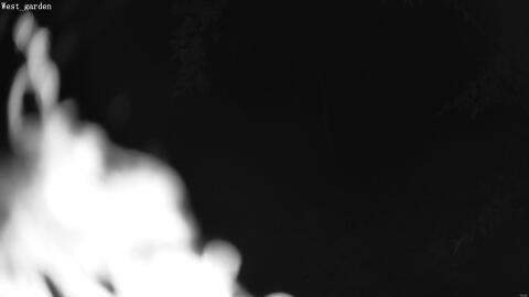 1903-20260601023915-14.jpg