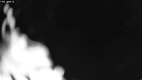 1903-20260601023927-14.jpg