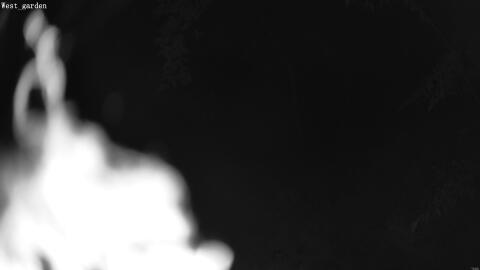 1904-20260601030106-03.jpg