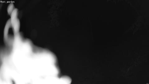 1904-20260601030110-06.jpg
