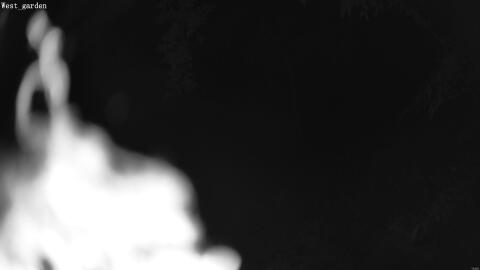1906-20260601032956-13.jpg