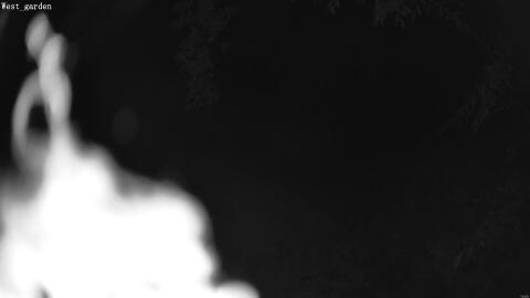 1907-20260601033356-14.jpg