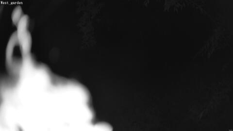 1907-20260601033358-15.jpg