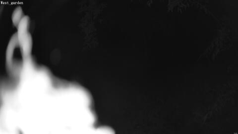 1907-20260601033402-17.jpg
