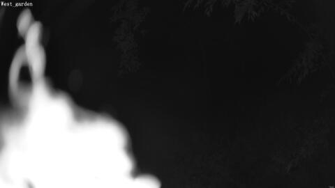 1909-20260601034833-03.jpg