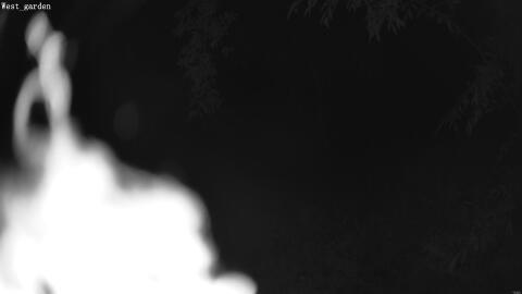1910-20260601035043-00.jpg