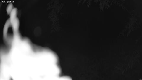 1910-20260601035049-03.jpg