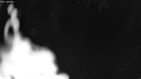 1911-20260601035259-06.jpg
