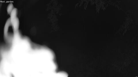1915-20260601040549-10.jpg