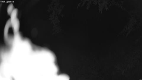 1924-20260601044450-05.jpg