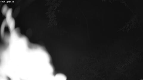 2074-20260602002129-13.jpg