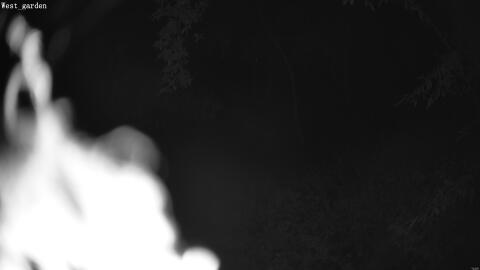 2075-20260602002837-03.jpg
