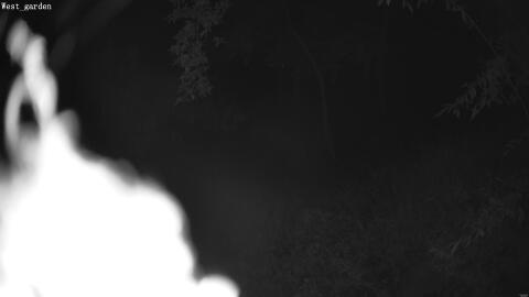 2077-20260602003457-06.jpg