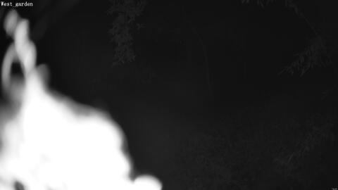 2078-20260602004753-12.jpg