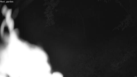 2079-20260602005347-14.jpg