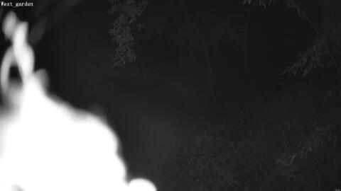 2080-20260602011126-01.jpg