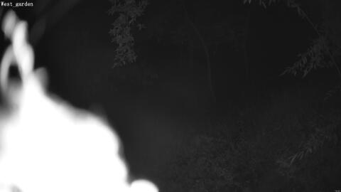 2081-20260602011332-02.jpg