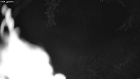 2082-20260602011552-06.jpg