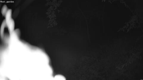 2084-20260602012256-07.jpg