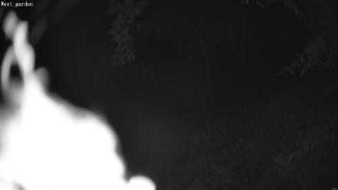 2085-20260602013310-08.jpg