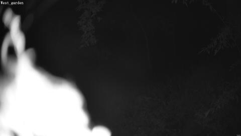 2114-20260602033832-09.jpg